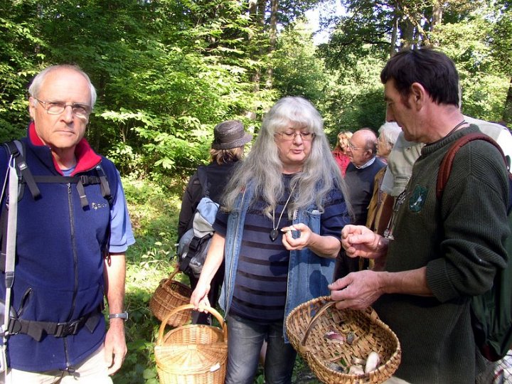 2011 07  Myco bois des Plainvaux 17